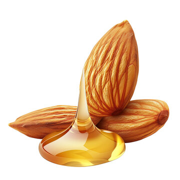 Almonds with an oil drop on white or transparent background