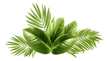 Tropical Palm Leaves. Palm Tree Plant Leaf - obrazy, fototapety, plakaty