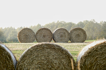 Scenic view of hay bales in rural Poland