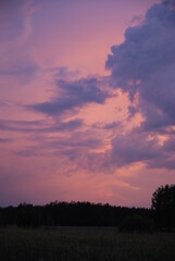 Fototapeta na wymiar Zachód słońca. Ocienie fioletu