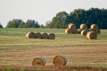 Scenic view of hay bales in rural Poland