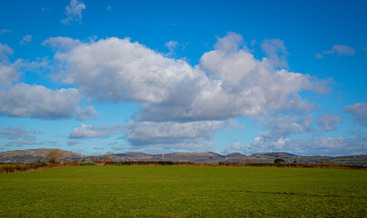 Fototapeta na wymiar field and blue sky, Cornwall