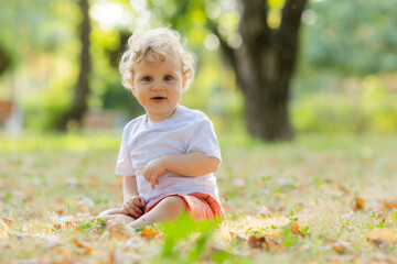 Cute curly blond baby sitting on the grass in autumn