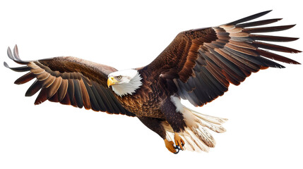 Majestic Eagle Soaring With Wings Outstretched