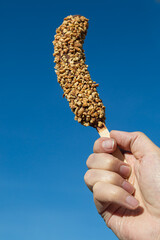 A mans hand holding a frozen banana covered in chocolate and nuts against a blue sky - 746104957