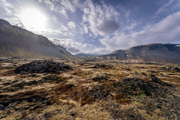 Lava fields near Arnarstapi in Iceland