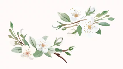 Wandaufkleber Set of Watercolor white cherry blossoms blooming elements. White cherry green leaves branch, and stem isolated on dark background. Suitable for decorative invitations, posters, or cards © Chelebi