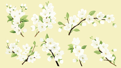 Set of Watercolor white cherry blossoms blooming elements. White cherry green leaves branch, and stem isolated on dark background. Suitable for decorative invitations, posters, or cards