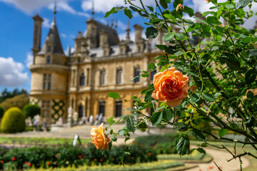 Waddesdon, Buckinghamshire, England, UK - Aug 24th 2022: Waddesdon Manor House and gardens in Buckinghamshire in summer with flowers