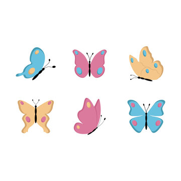 Butterfly icon. Colorful butterflies watercolor isolated on white background. vector