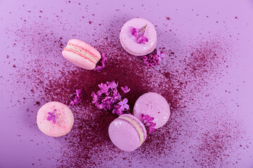 Obraz na płótnie Canvas Pastel colored sweet french macaroons with lilac flowers and splash of dry blueberry powder on purple background. Beautiful composition for bakery and pastry shop. Top view with copy space for text