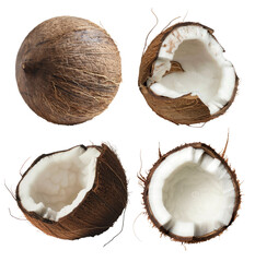 A collection of fresh coconuts in various conditions, whole coconuts, slightly split coconuts, half-split coconuts, and halved coconuts. Coconuts isolated on a transparent background. AI Generated.