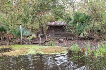 Abandoned Wood Shack on the Shore in Maurepas Swamp, Louisiana  - 746109977