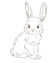 Hand Drawn Cute Bunny vector, design rabbit, kids print 