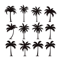 Black palm tree set vector illustration isolated on white background silhouette art black white stock illustration logo icon tropical, beach, landscape, pattern, paradise, coconut background