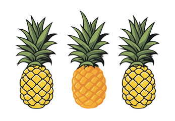 Pineapple | Minimalist and Simple set of 3 Line White background - Vector illustration