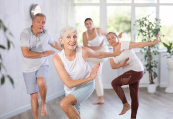 Group session of modern fitness for amateurs in studio. Mature lady with senior class s visitor...