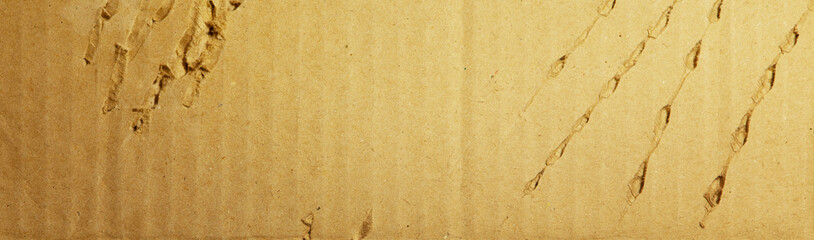 Torn, damaged cardboard or cardboard boxes, leaving claw marks. Brown corrugated cardboard, background texture for design work.