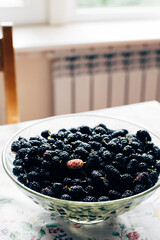 Bowl of Fresh Picked Berries from Garden