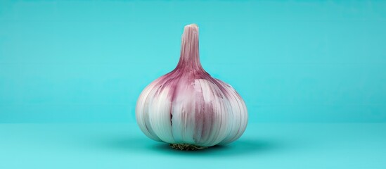 A fresh and aromatic onion placed on a vivid blue background, contrasting against a vibrant green background.