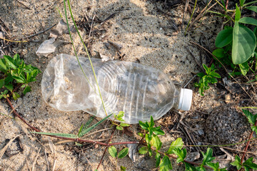 Environmental pollution from plastic bottles