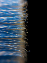 macro photo, a collection of used toothbrush bristles