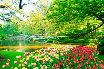 fresh spring garden with green trees, flowers, fresh grass and pond