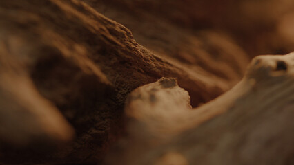 Macro details of firewood and smoke