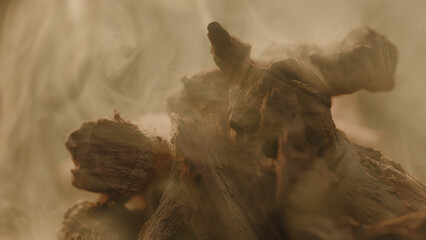 Macro details of firewood and smoke