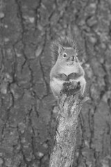 La Plaine 25 Février 2024