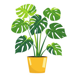 Icon illustration of tropical plant in a pot, isolated on transparent background