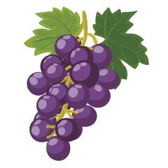 Icon illustration of grapes with leaves, isolated on transparent background