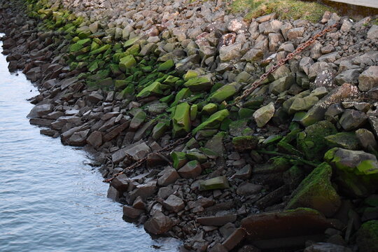 Riprap along Columbia River.