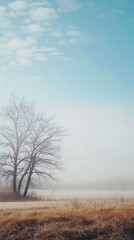 Obraz na płótnie Canvas A misty morning in the countryside Calmness atmospheric photo footage for TikTok, Instagram, Reels, Shorts