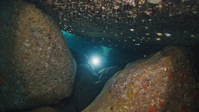 Freediver swims underwater in the sea and explores the cavern with torch