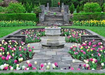 Tulips in Kingwood Center Gardens, Mansfield, Ohio, April