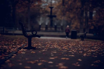Zelfklevend Fotobehang Autumn In the Park © Amr