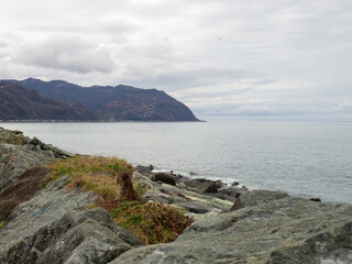 Gray dull landscape with rocks. Black Sea coast in winter. Hopa city, Türkiye.