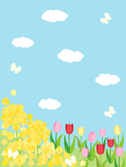 Fototapeta na wymiar 菜の花とチューリップと青空の春の丘のカード　縦型バージョン　