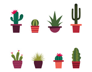 A set of cacti in a flat style. Vector illustration.