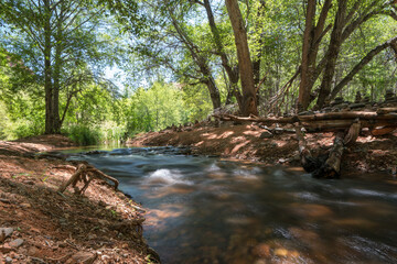 Quiet stream in northern Arizona on a sunny day