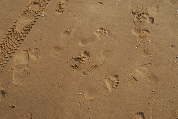 Footprints in the wet sand 