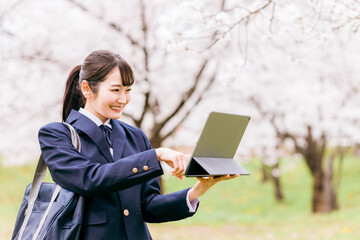 桜の中でタブレットPCを使う中学生・高校生・女子高生・女子高校生
