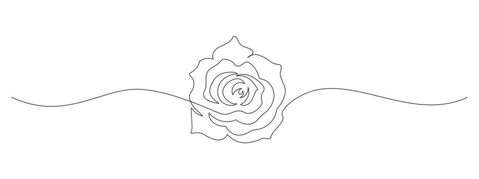One continuous line drawing of Rose flower. Peony blossom with petals for floral tattoo in simple linear style. Plant pattern for wedding decoration in Editable stroke. Doodle vector illustration