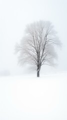 Serene Winter Landscape with Solitary Tree Covered in Frost