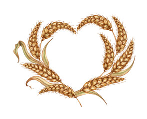 Watercolor illustration of a heart-shaped frame made of golden ripe ears of wheat. Frame of cobs isolated on white background. For menus, banners, poster printing, recipes, labels, packaging design.