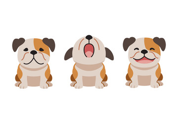 Set of vector cartoon character cute bulldog for design.
