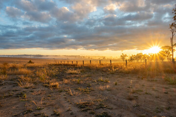 sunrise over the field