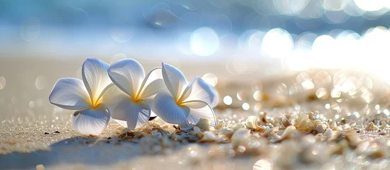 Zelfklevend Fotobehang Two exquisite white plumeria flowers are elegantly displayed atop the soft sandy beach. The delicate petals contrast beautifully against the beige grains, creating a simple yet striking scene. © 2rogan