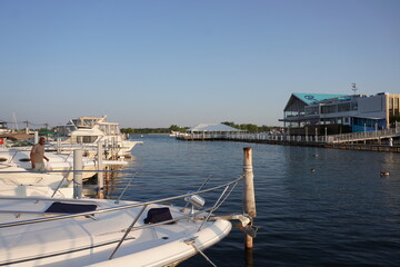 boats in the marina on the detroit river